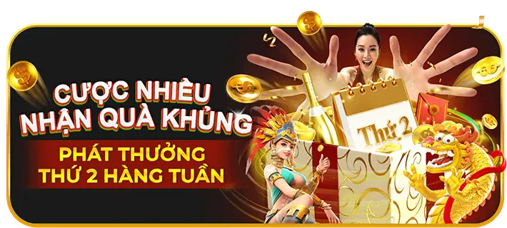 Sự kiện Suncity